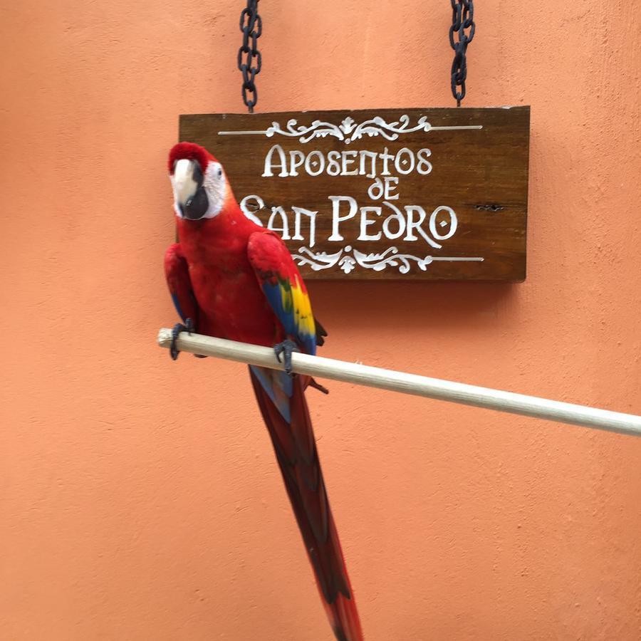 מלון Cartagena Aposentos De San Pedro מראה חיצוני תמונה